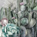Cactus Wallpaper