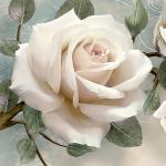 Rose Wallpaper