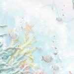 Seashell Wallpaper