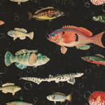 Fish Wallpaper