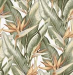 Leaf Wallpaper