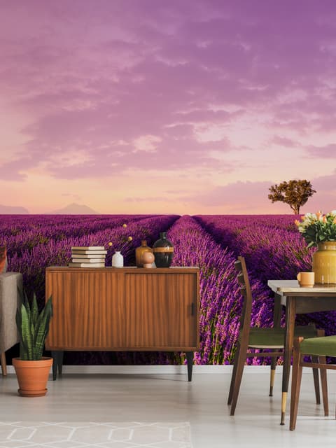 Papier peint panoramique prairies de lavande brumeuses et montgolfière