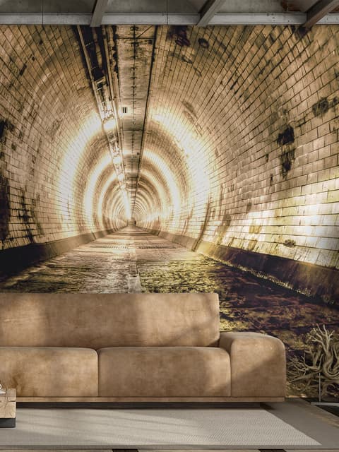 3D Look Tunnel Wallpaper Mural