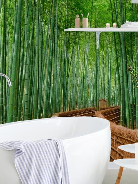 Bamboo Forest Oasis Wallpaper Mural