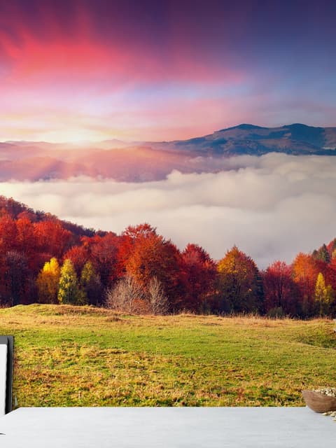 Colorful Nature Autumn Wallpaper Mural