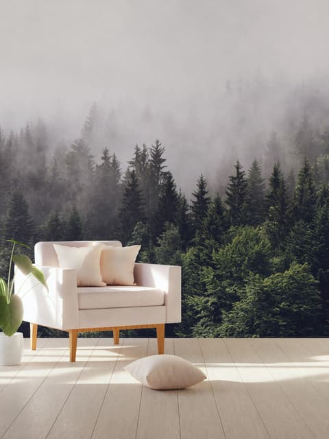 Misty Pine Forest Wallpaper Mural
