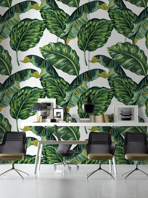 Tropical Banana Leaf Wallpaper Mural