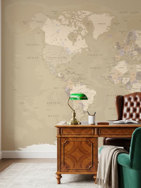Brown & Brown Political World Map Wallpaper Mural
