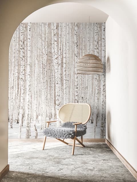 Birch Tree Forest in Winter Wallpaper Mural