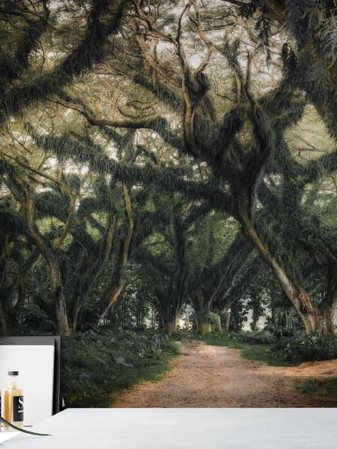Papier peint racines arbres