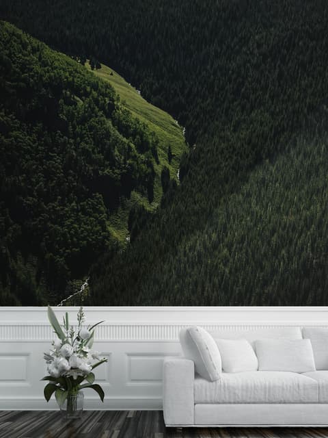Papier peint panoramique vue aérienne de forêt naturelle sur les montagnes