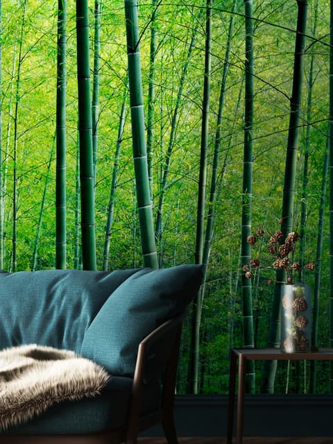 Bamboo Forest Wallpaper Mural
