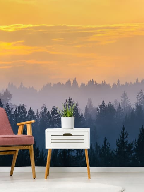Misty Pine Forest Landscape Wallpaper Mural