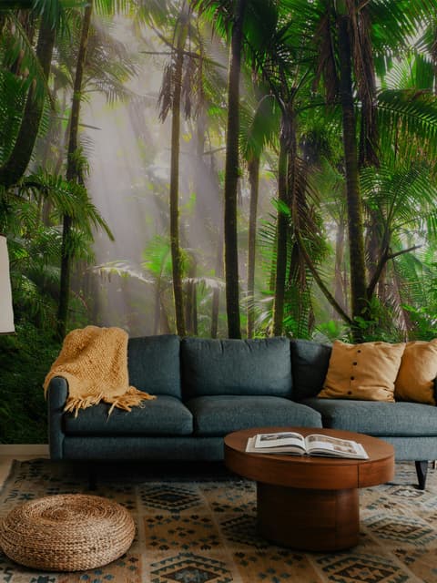 Tropical Forest Jungle Scenery Wallpaper Mural