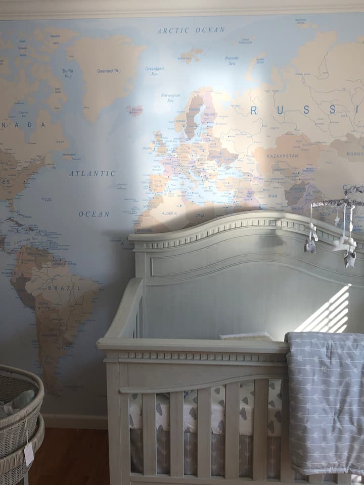 Soft Brown Political World Map Wallpaper Mural