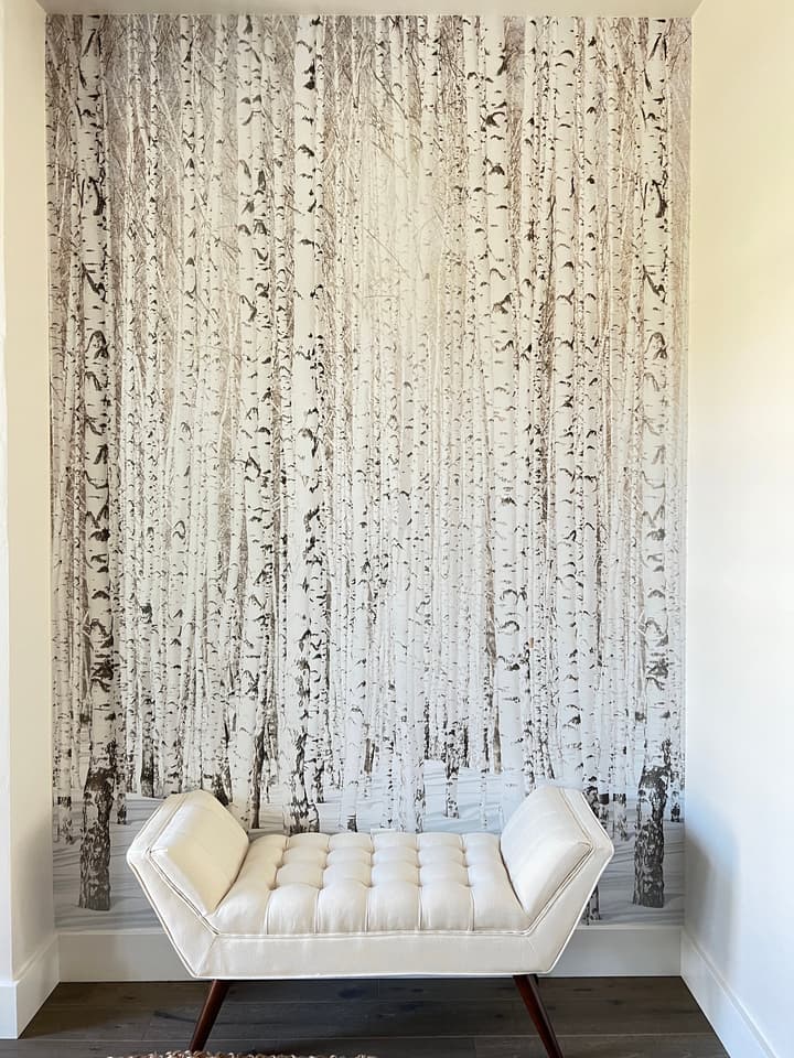 Birch Tree Forest in Winter Wallpaper Mural