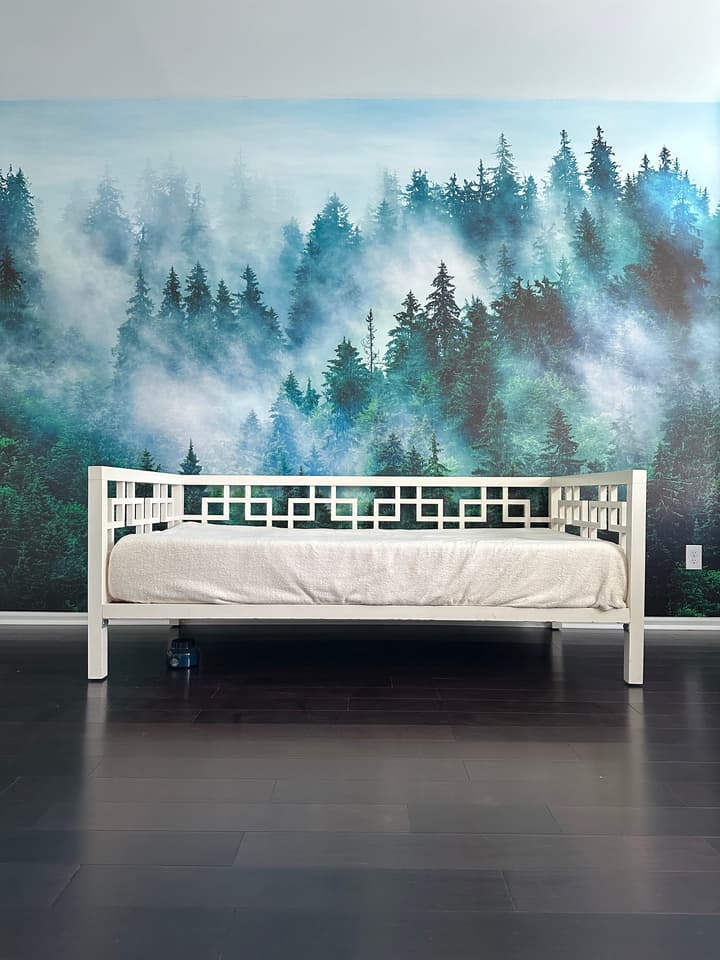 Foggy Pine Forest Wallpaper Mural