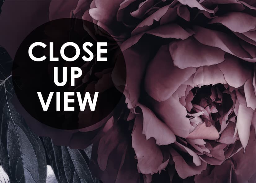 Dark Floral Claret Peony Floral Wallpaper Mural