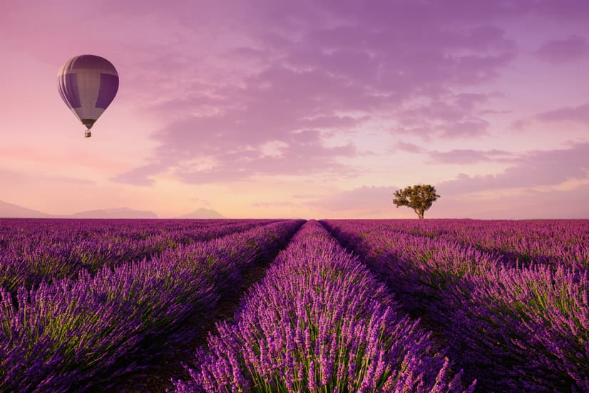Serene Sunset Lavender and Balloon Landscape Wallpaper Mural
