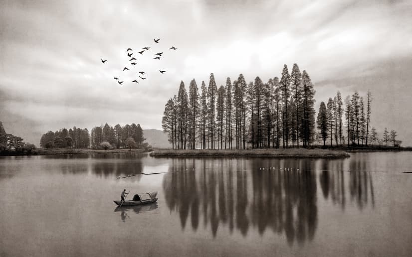 Monochrome Dunkler Wald und See Fototapete