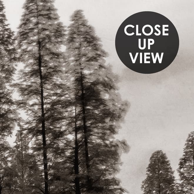 Monochrome Dunkler Wald und See Fototapete