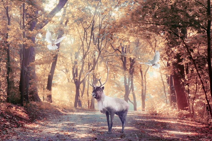 Watercolor Forest and Elk Wallpaper Mural