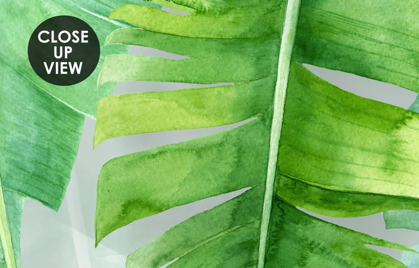 Tropical Leaves and Shading Leaf Wallpaper Mural