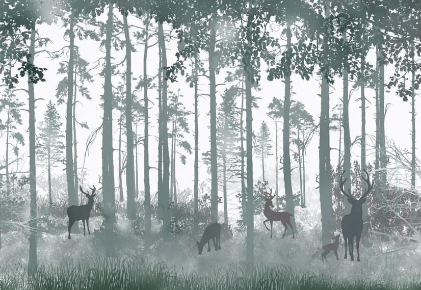 Dark Misty Forest with Horned Deer Wallpaper Mural