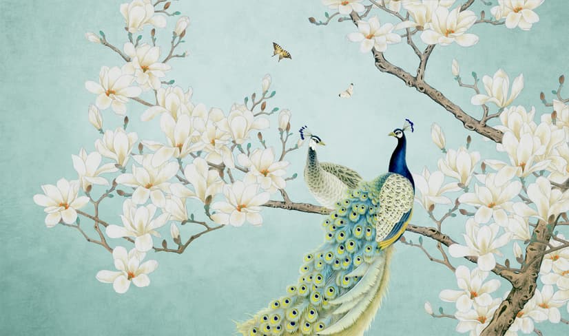 Pfau mit Magnolienblüte Fototapete