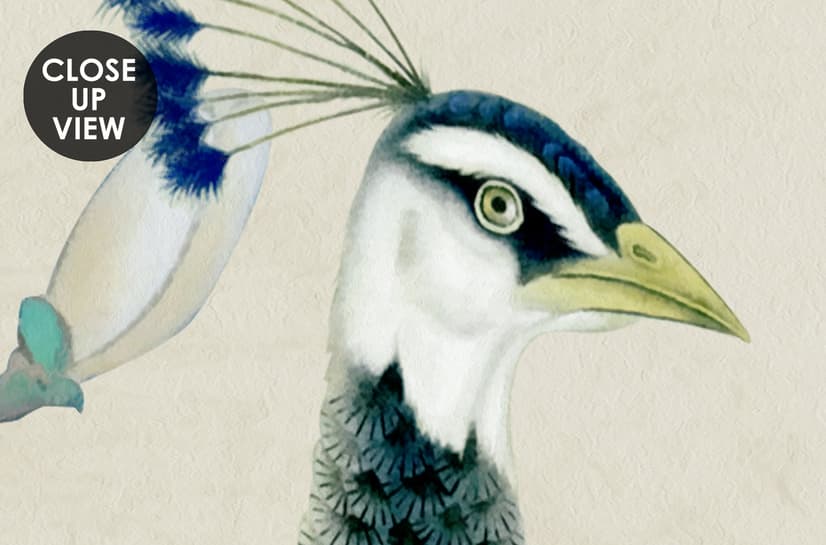 Pfau mit Magnolienblüte Fototapete