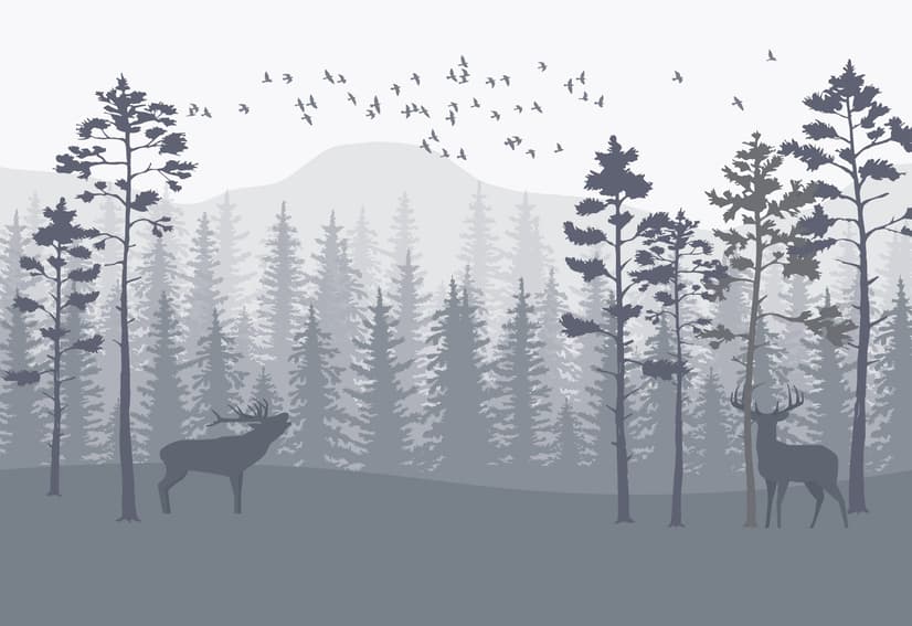 Monochrome Mountain and Forest Scape Wallpaper Mural