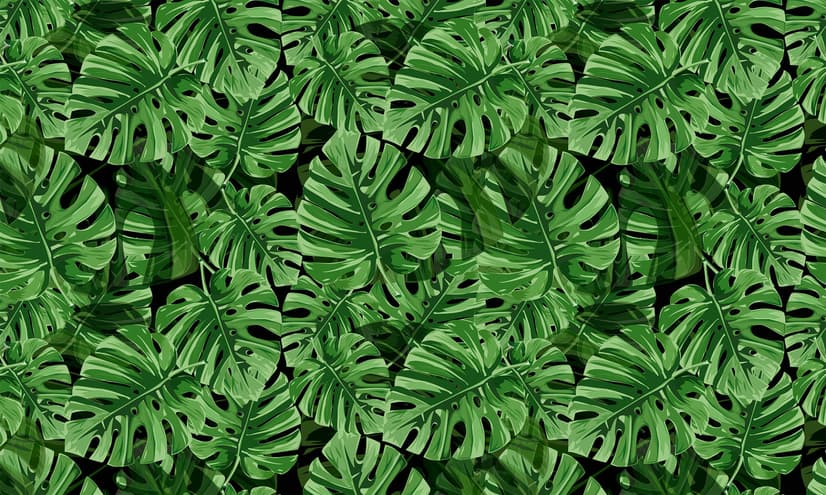 Green Tropical Leaves Wallpaper Mural