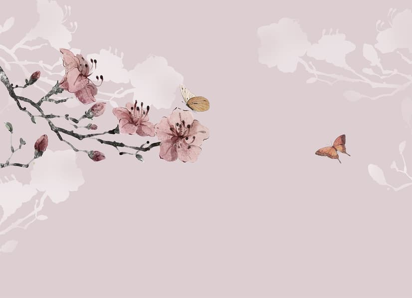 Fototapete Kirschblüten und Schmetterlinge