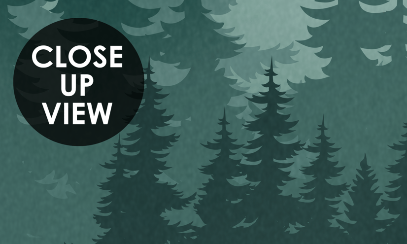 Misty Forest Landscape and Horned Deer Wallpaper Mural