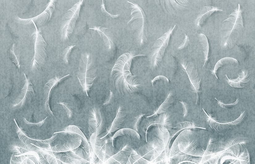 Vintage White Feather Pattern Wallpaper Mural