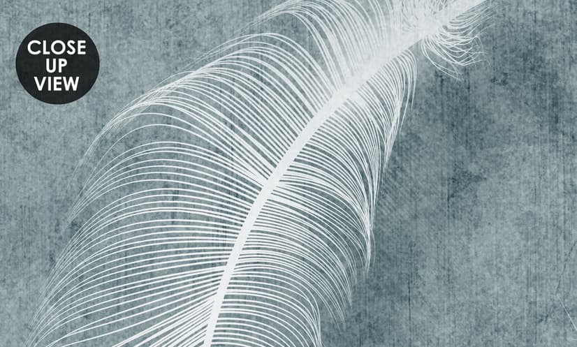Vintage White Feather Pattern Wallpaper Mural