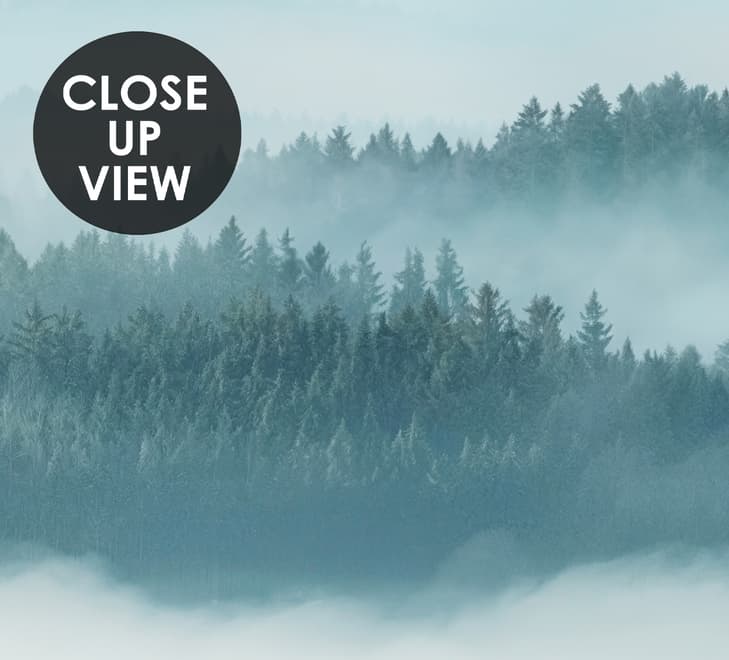 Misty Forest Landscape Wallpaper Mural