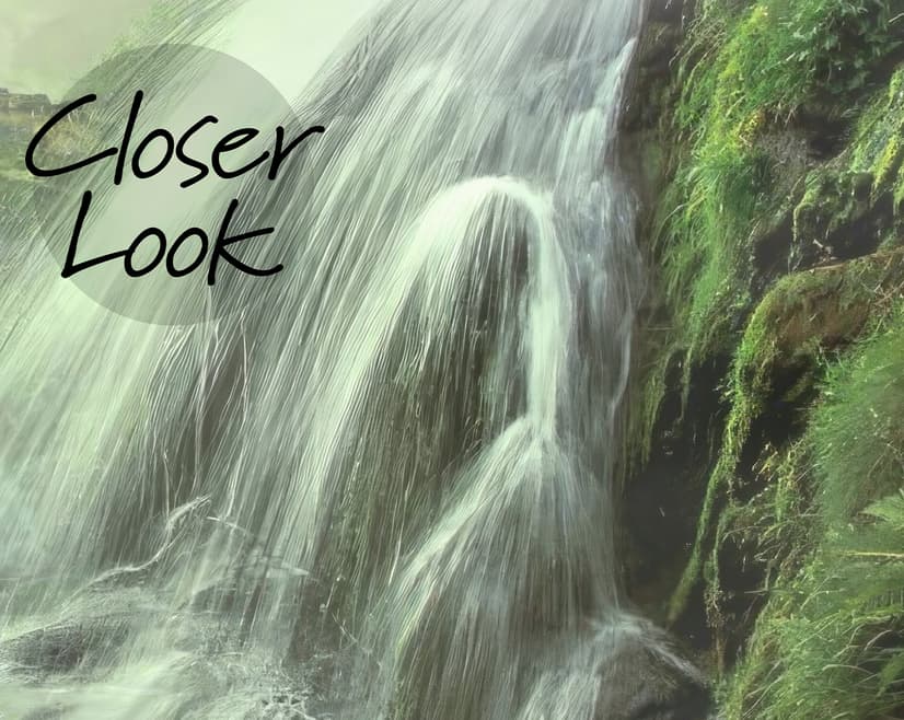 Waterfall with Misty Green Forest Landscape Wallpaper Mural