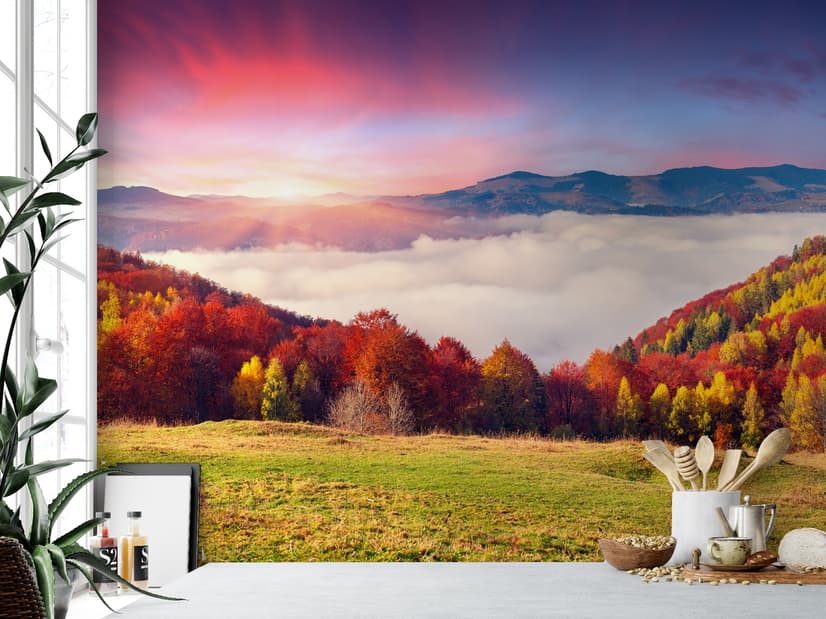 Colorful Nature Autumn Wallpaper Mural