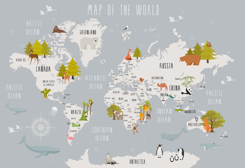 Kids World Map with Cartoon Animals Wallpaper Mural
