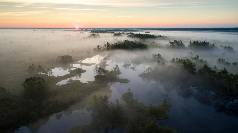 Foggy Rive Forest Landscape Wallpaper Mural