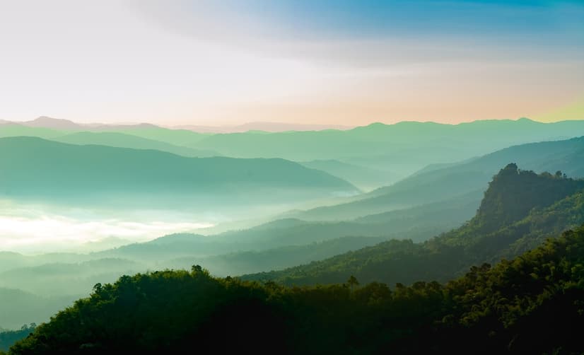 Misty Mountain Green Forest Scenic Wallpaper Mural