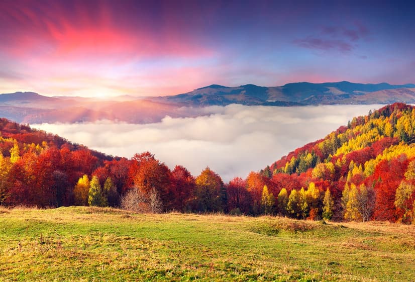 Colorful Nature Autumn Wallpaper Mural