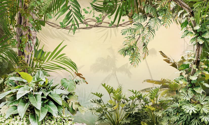 Magical Tropical Rainforest Wallpaper Mural