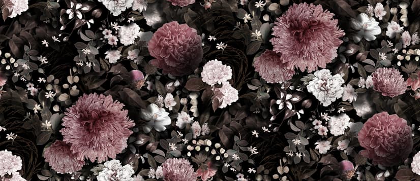 Papier peint panoramique floral foncé avec chrysanthème rose