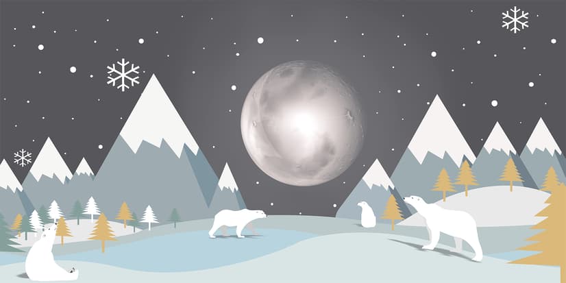 Kids Mountainscape with Cute Bears and Nightscape Wallpaper Mural