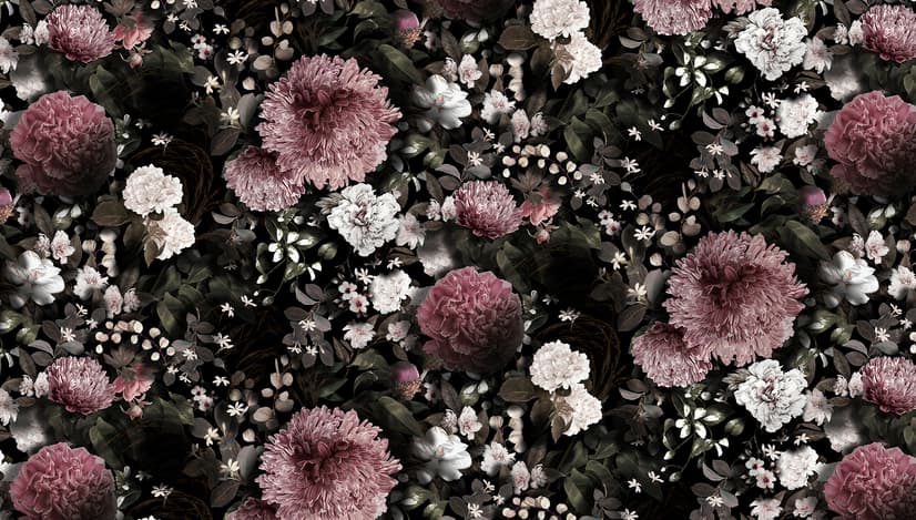 Dunkle Blumen Fototapete mit Rosa Chrysanthemen und Grünen Blättern