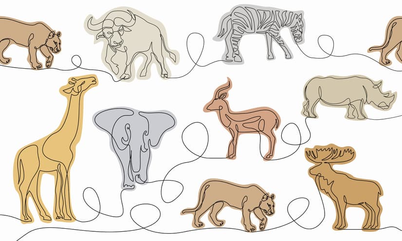 Abstract Animal Line Art Wallpaper Mural