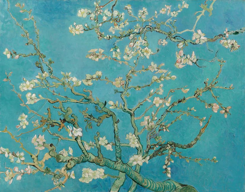 Van Gogh Mandelblüten Fototapete
