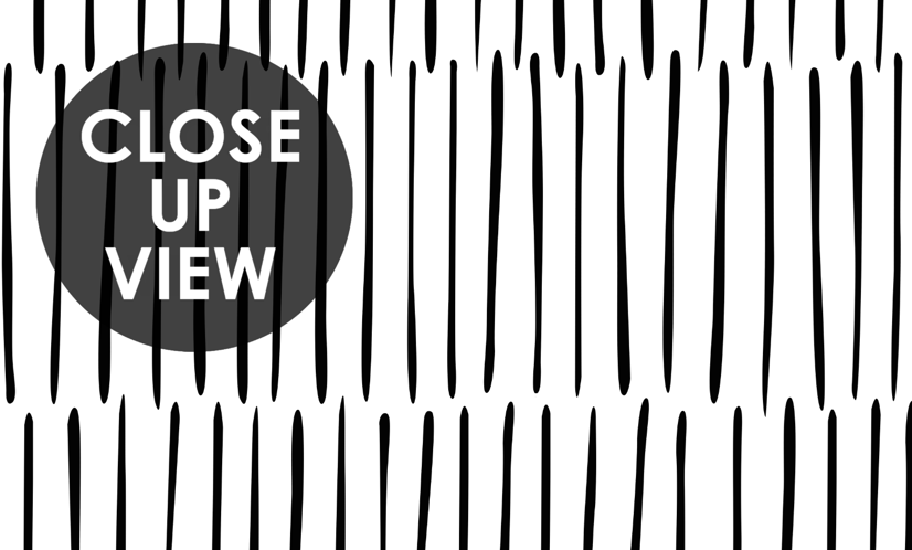 Abstract Minimalistic Black and White Line Wallpaper Mural